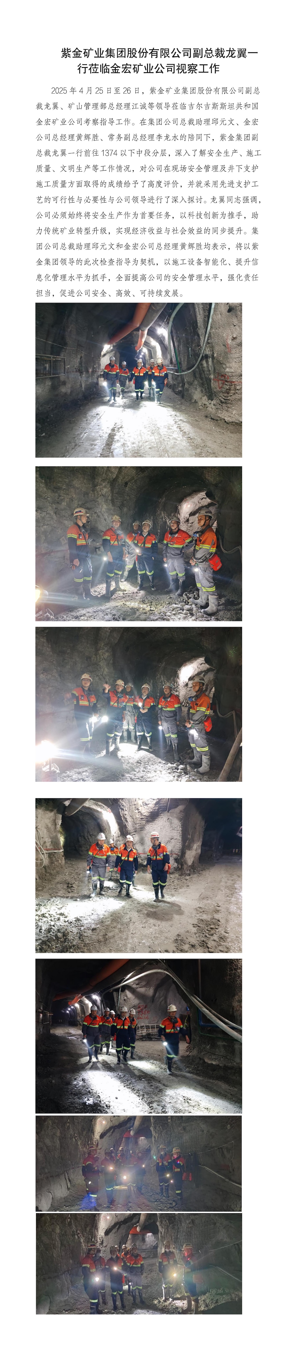 紫金集團(tuán)副總裁龍翼一行蒞臨金宏公司視察工作(2)_01